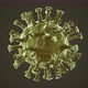 The virus Coronavirus (COVID-19) medical animation. - VideoHive Item for Sale