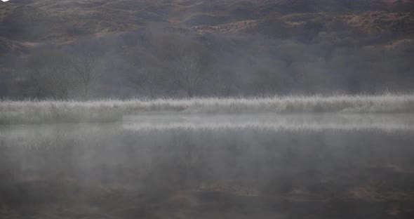 Winter scene, mist over the water and trees at lake in Wales