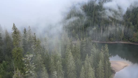 Fog in the Mountains. Aerial View of the Carpathian Mountains in Autumn. Ukraine