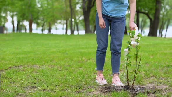 Smiling Female Volunteer Watering Bush in Park Looking Tree, Respect of Nature