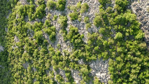 Rocky terrain with sparse green vegetation consisting of bushes, shrubs and low trees