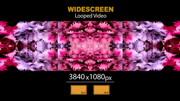 Widescreen Kaleidocope Bouquet Flowers 01