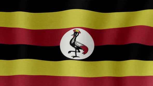The National Flag of Uganda alt
