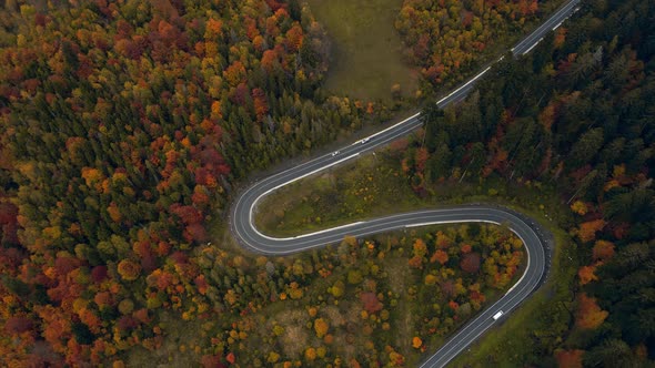 Aerial View Video Top View of Colorful Trees of Late Autumn Forest with Winding Country Road