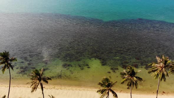 Oriental Houses on Seashore. Drone View of Lovely Oriental Cottages and Green Coconut Palms Located