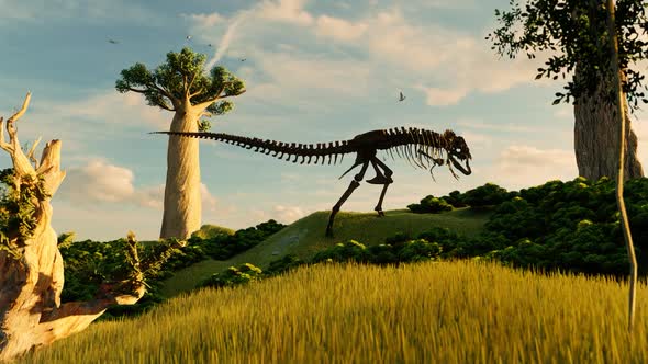Amazon Forests and Dinosaur Skeletons