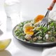 Quinoa with Arugula and Poached Egg Salad - VideoHive Item for Sale