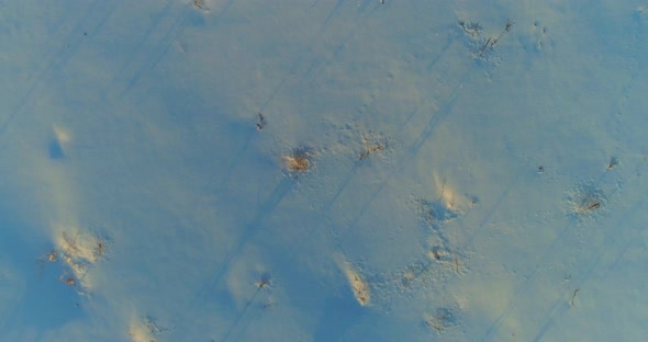 Aerial Drone View of Cold Winter Landscape with Arctic Field Trees Covered with Frost Snow and