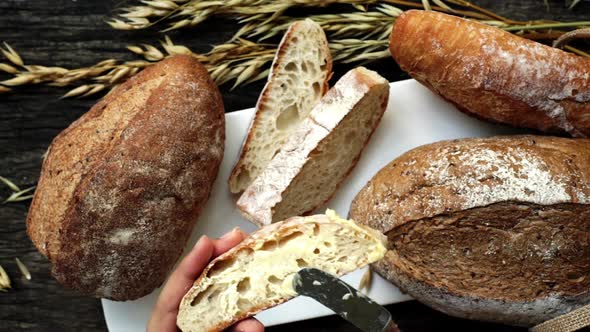 Freshly Made Traditional Italian Ciabatta baked bread 01