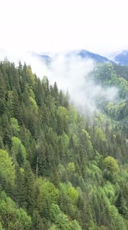 Carpathian Mountains