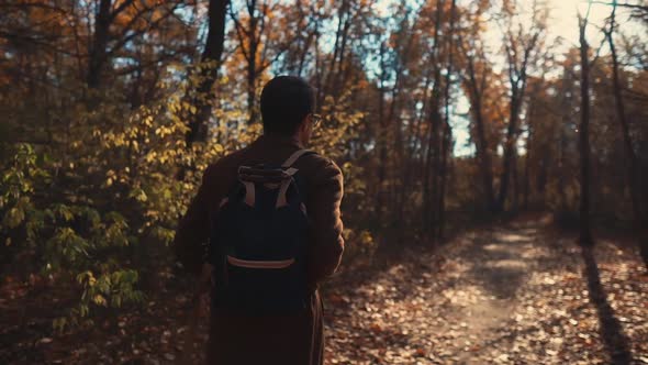 Guy Quietly Walking in a Forest.