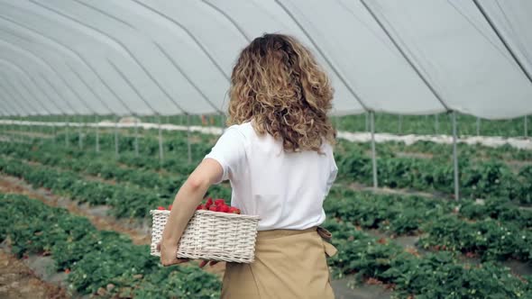 Smiling Woman Walking with Strawberries at Hothouse