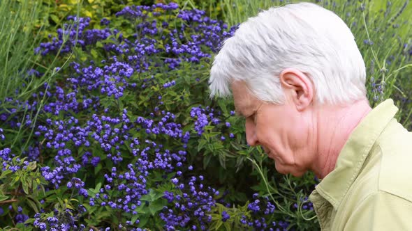 Senior man checking a flowers