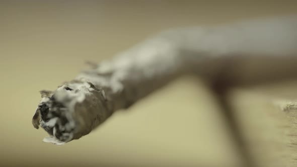 Smoking Cigarette Close-up. Macro.