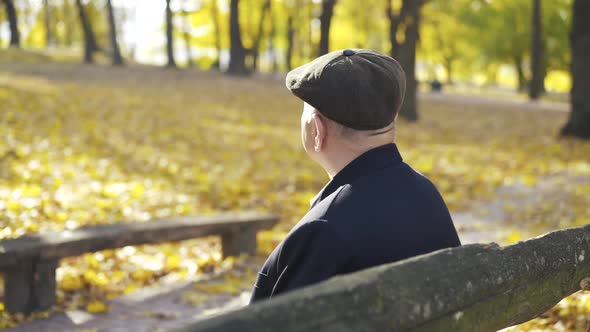 Back View of an Older Man Resting on a Park Bench Admiring Beauty and Telling