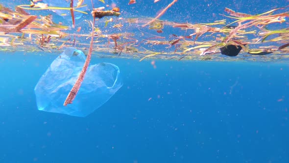 Marine Pollution of Plastic Bag