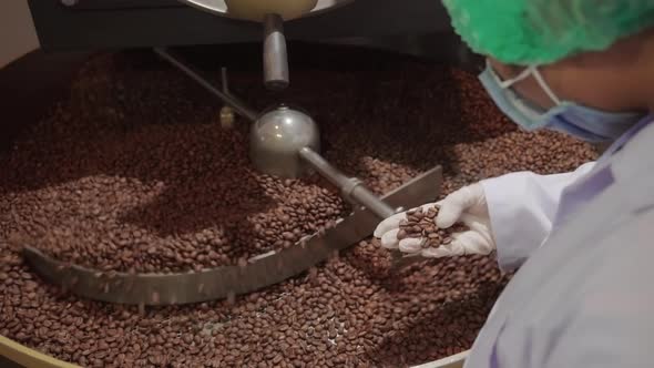 Sorting Roasted Coffee Beans