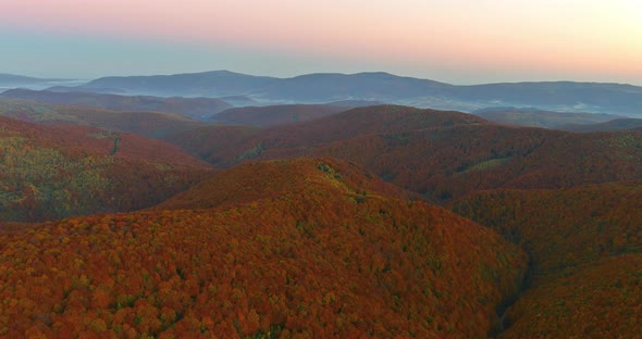 Beautiful Autumn on Sunrise Morning on the View Above Forest Valley