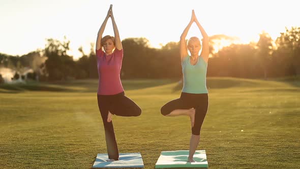 Charming Adult Women Standing in Yoga Tree Pose