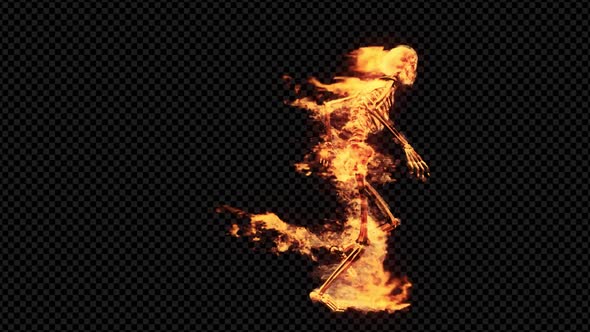 Burning 3D Skeleton Run 4