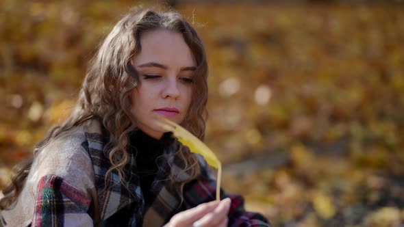 Single Lady is Sitting on Tram Rails in Autumn Day Viewing Yellow Maple Leaf