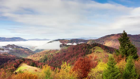 Wonderful Autumn Landscape with Beautiful Blue Sky and Majestic Clouds Forest Sunset Beautiful Fall