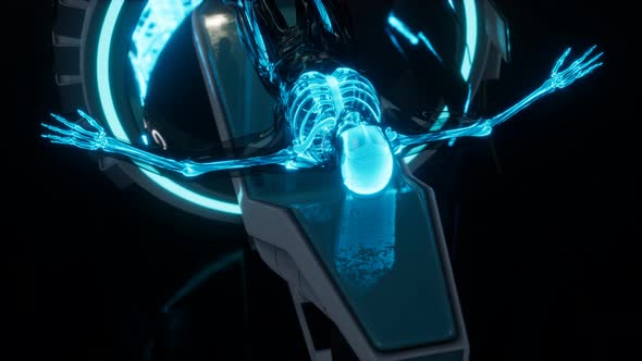 Human Skeleton Bones Scan Exam in Lab alt