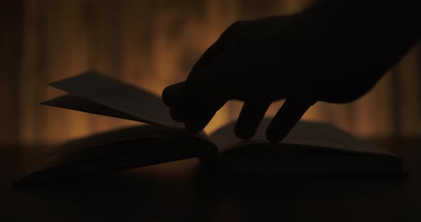 Book In The Dark