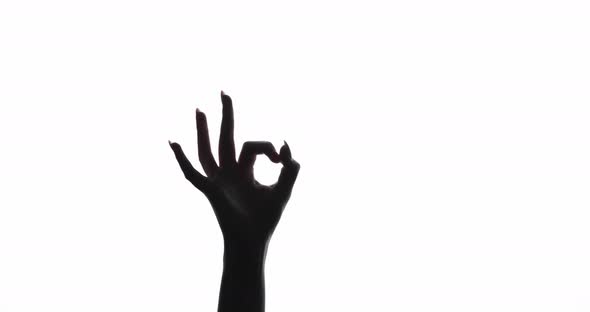 Hand Silhouette Ok Gesture Perfect Choice Approval