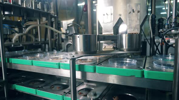 Plastic Plates with Bread Crumbs Are Moving Along the Conveyor