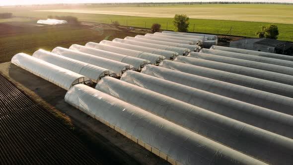 Aerial Drone View of Huge Areas Greenhouses for Growing Agricultural Products