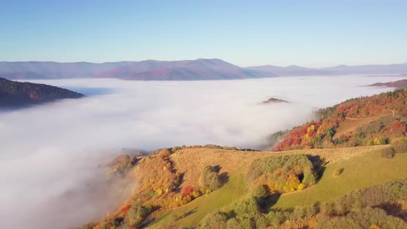 A Wonderful Feeling of a Moving Cloud on a Mountain After Rain