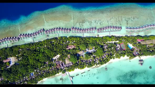 Aerial scenery of beautiful shore beach wildlife by aqua blue lagoon and white sand background of a 