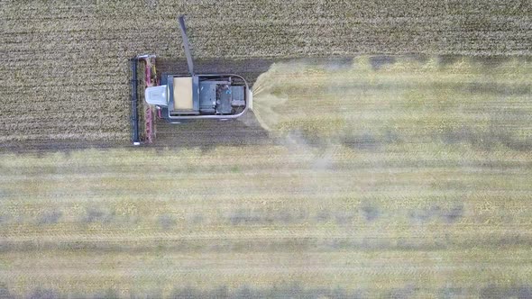 Aerial View of Combine Harvester. Harvest of Rapeseed Field. Industrial Background on Agricultural