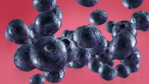 Flying of Blueberries in Light Fuschia Background