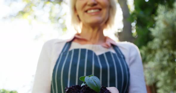 Mature woman holding young plant