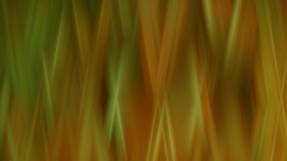 Green Brown Stripes Motion Animated Background