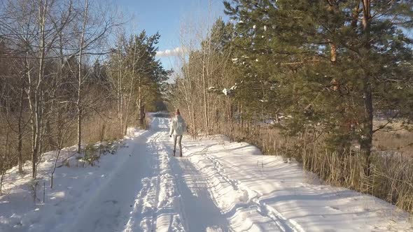 Aerial Backside Girl Carries Pine Branches Along Forest Road