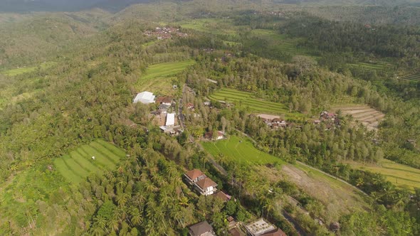 Tropical Landscape with Agricultural Land in Indonesia