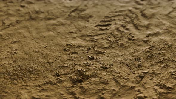 Wheel Tracks on Rough Road