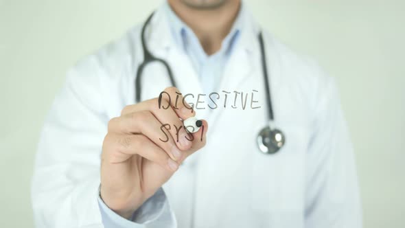 Digestive System, Doctor Writing on Transparent Screen