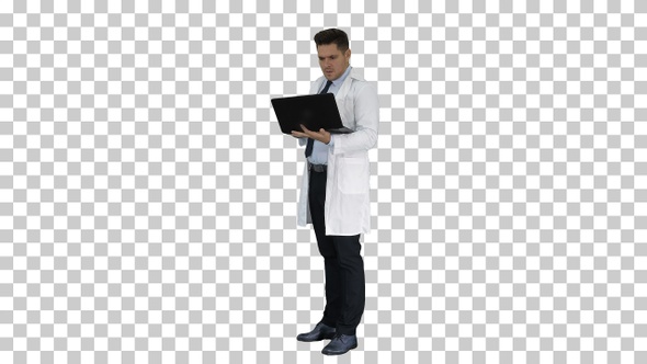 Doctor showing results in laptop, Alpha Channel