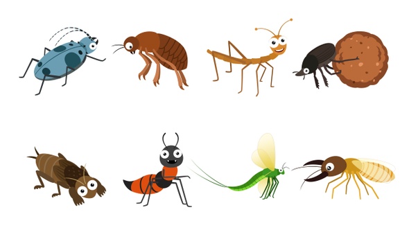 Cartoon Insects 3