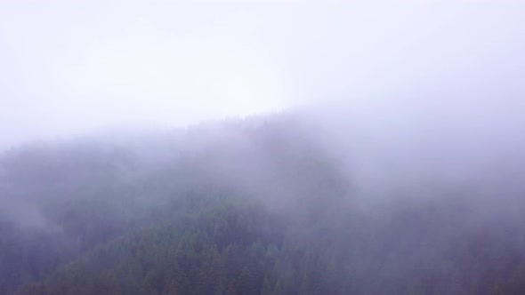 Mountain forest. Flying over pine forest in beautiful clouds. Misty forest. Fog in the mountains