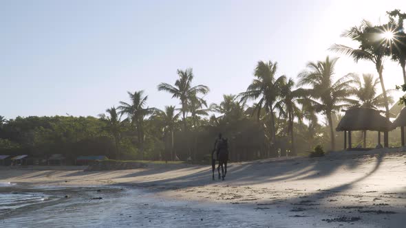 Fijian on a horse riding on paradise beach with bright sun shining through trees