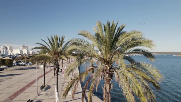 Aerial parallax from Lush palm trees revealing Beautiful Promenade riverside, Portimão