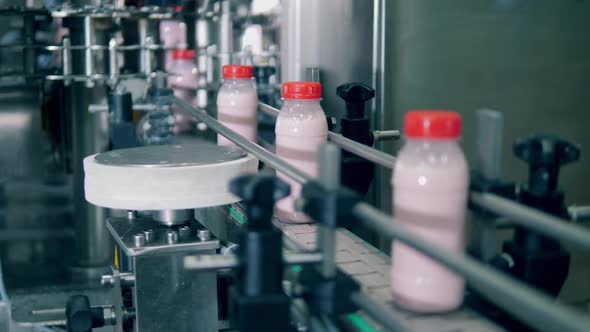 Bottles with Yogurt Moving on a Conveyor