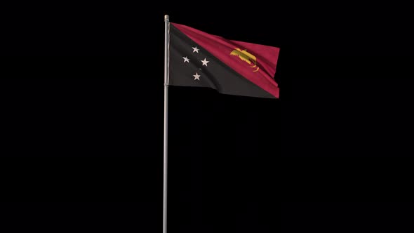 Papua New Guinea flag