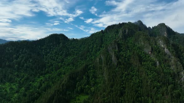 Landscape of mountains in summer. Aerial view