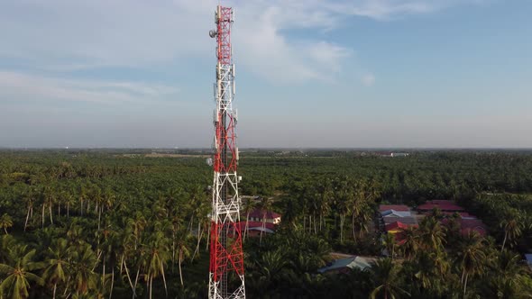 Telecom tower near plantation